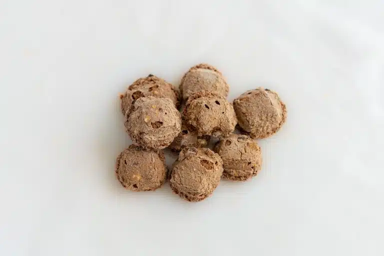 carquinyols-chocolate
